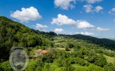 Casale con vista e annessi