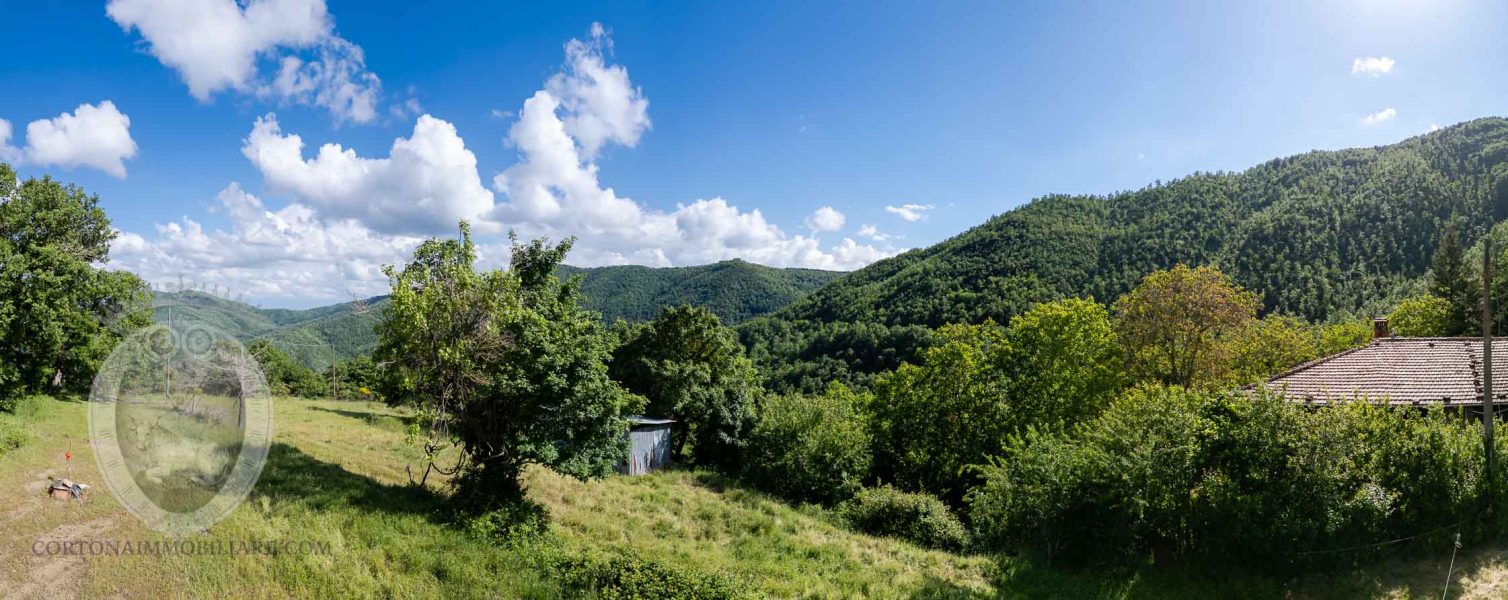 Casale con vista e annessi