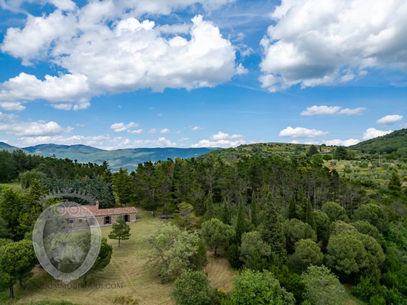 Colonica con vista lago