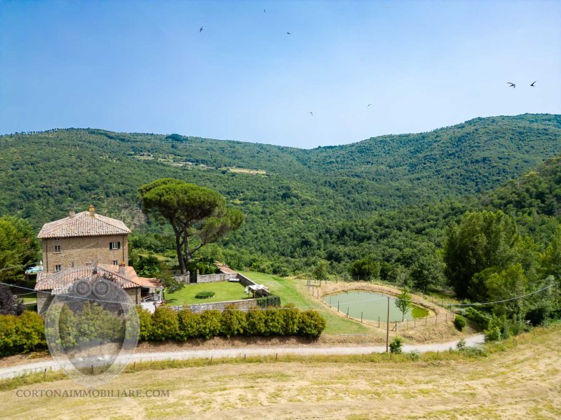 Villa padronale con piscina e colonica