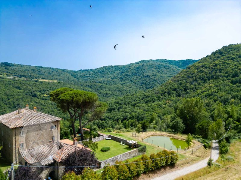 Villa padronale con piscina e colonica