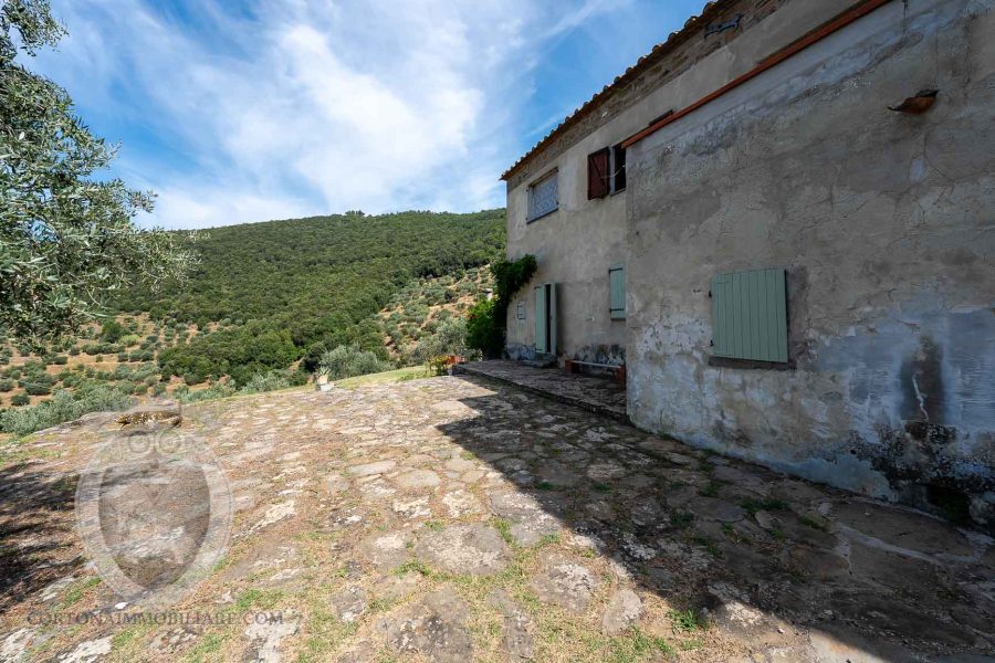 Casale con vista e annessi