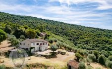 Casale con vista e annessi