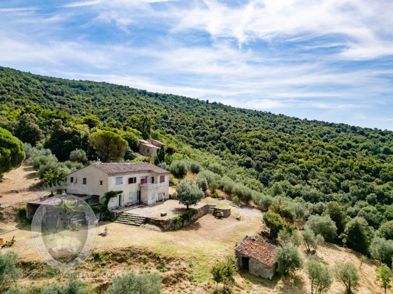 Casale con vista e annessi