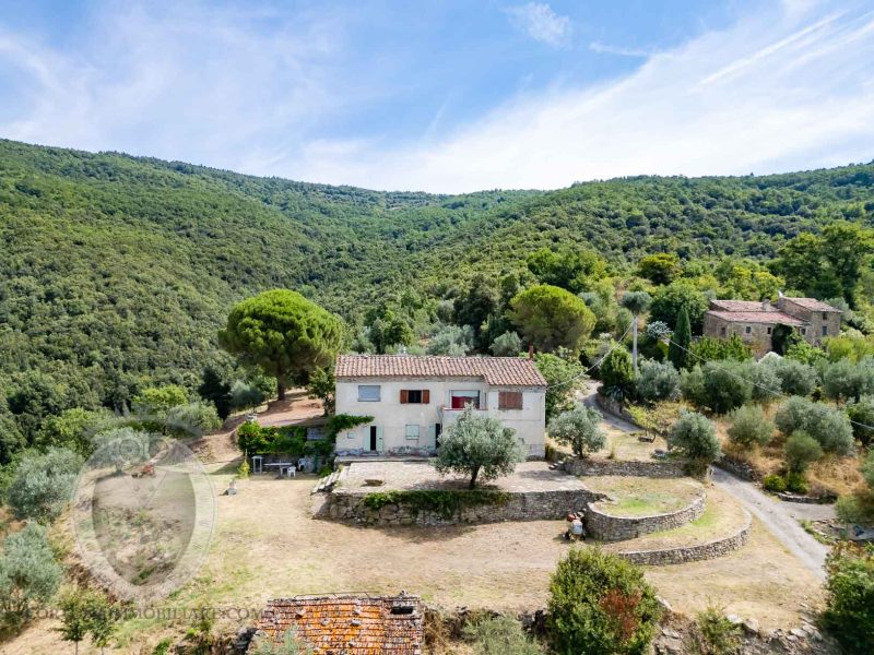 Farmhouse with view and annexes