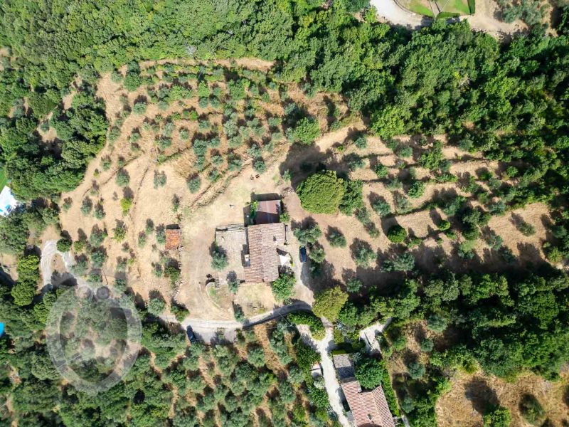 Casale con vista e annessi