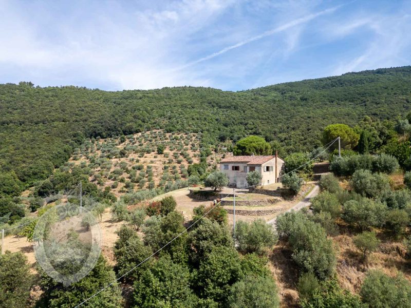 Casale con vista e annessi