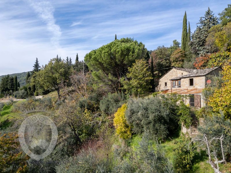 Casale in pietra panoramico