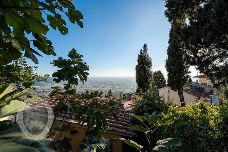 Casa indipendente con giardino e terrazza