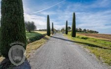 Appartamento con giardino e piscina