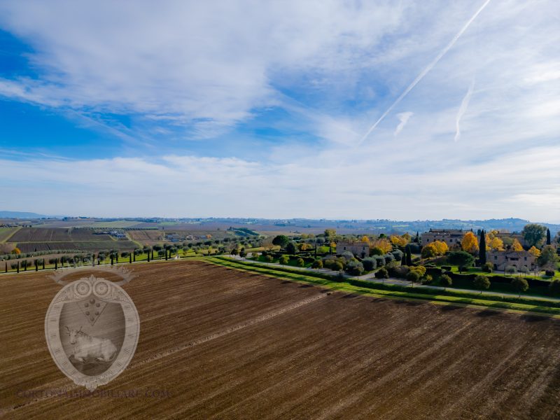 Appartamento con giardino e piscina