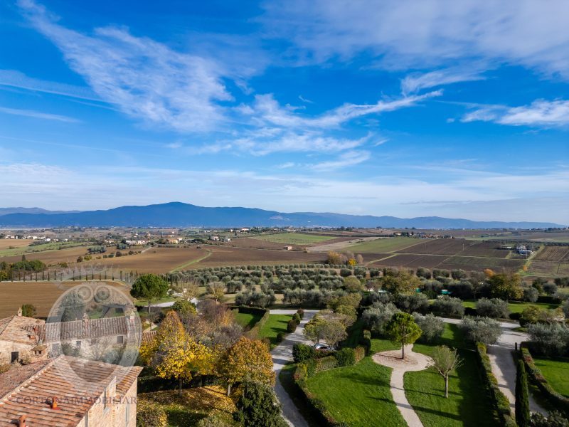 Appartamento con giardino e piscina