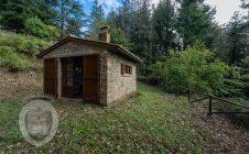 Small agricultural shed