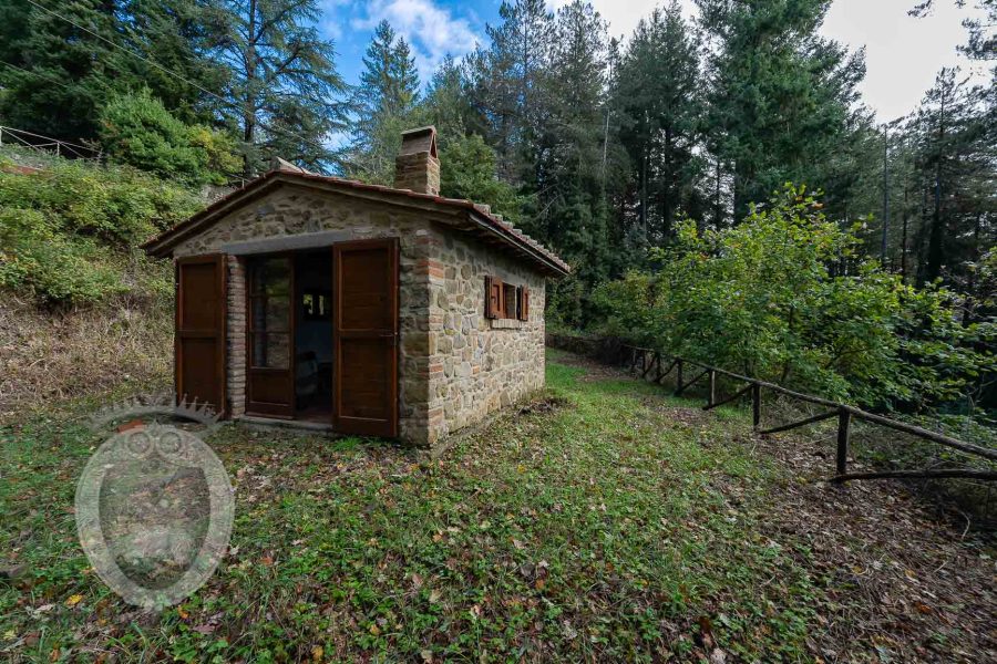 Small agricultural shed