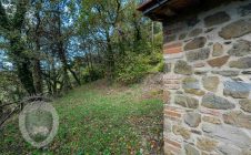 Small agricultural shed