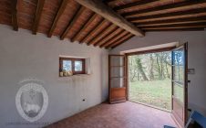 Small agricultural shed