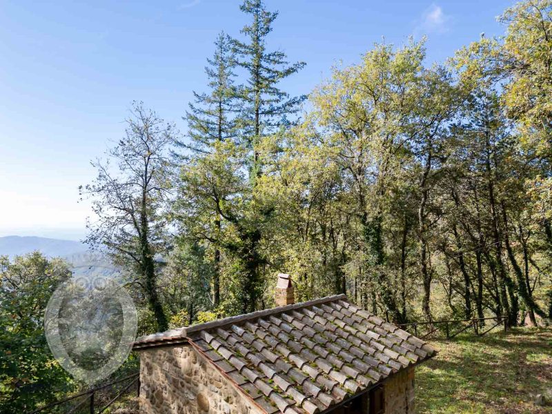 Small agricultural shed