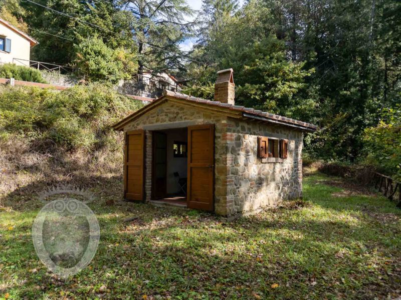 Small agricultural shed