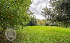 Villa with garden