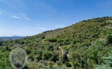 Villa con vista panoramica e terreno