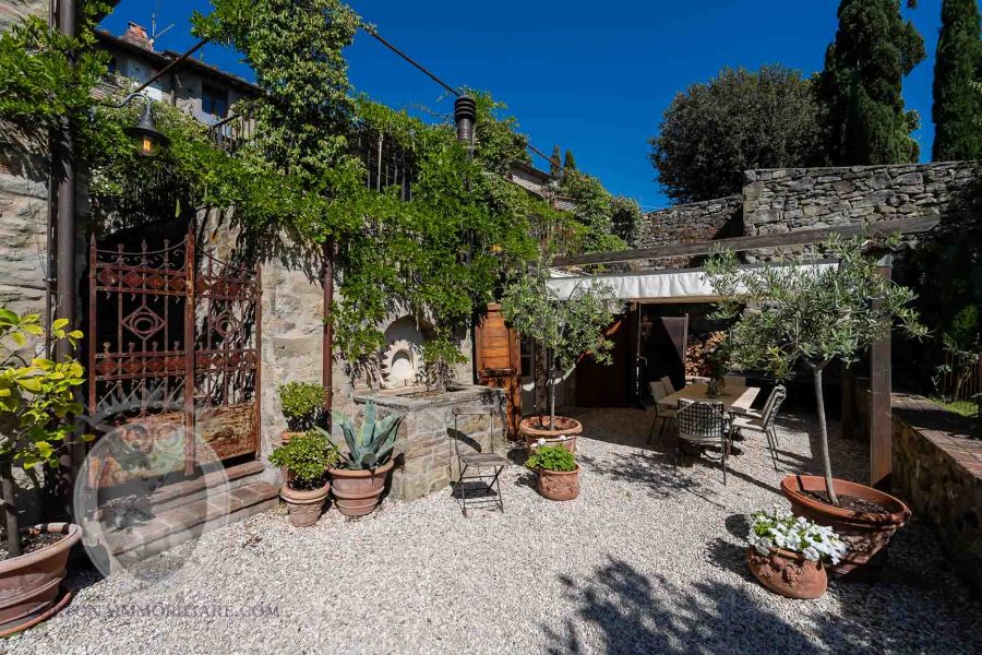 Farmhouse in the center with garden